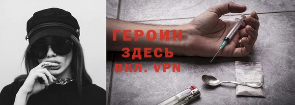гидра Арсеньев