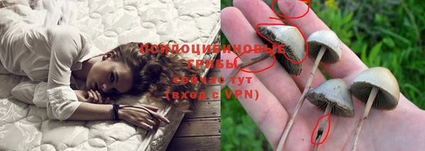альфа пвп Армянск