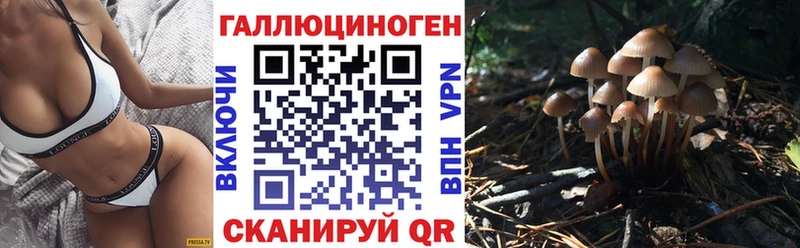 Купить  Сим  Галлюциногенные грибы GOLDEN TEACHER 
